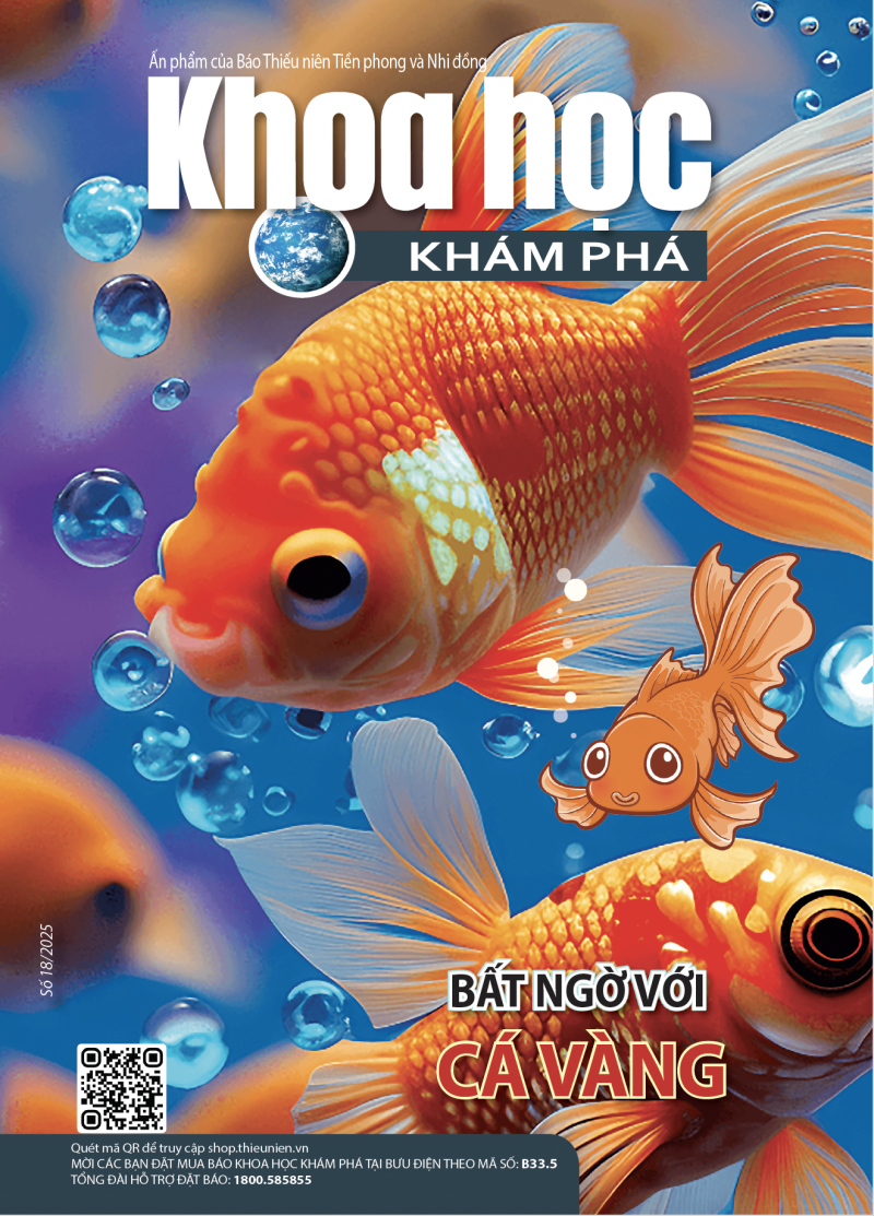 2025 - SỐ 18