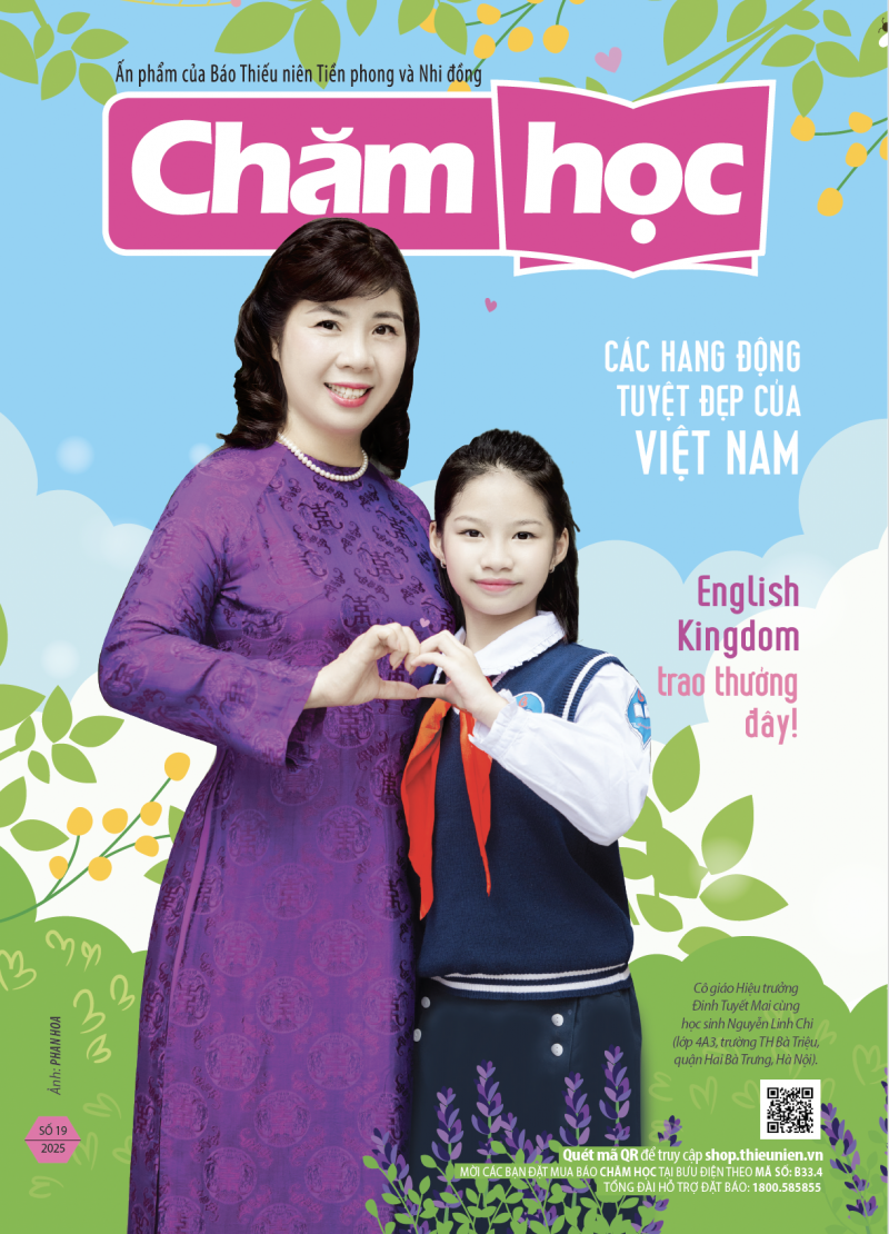 2025 - SỐ 19