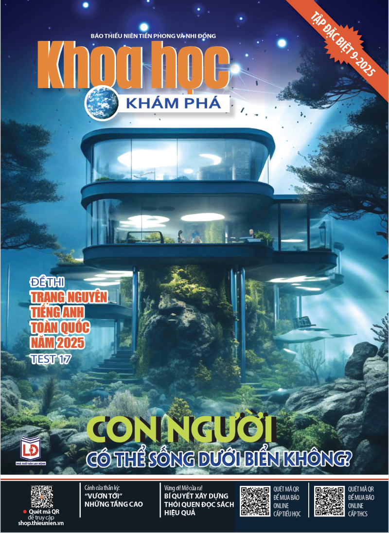 2025 - QUYỂN 9 (TEST 17)