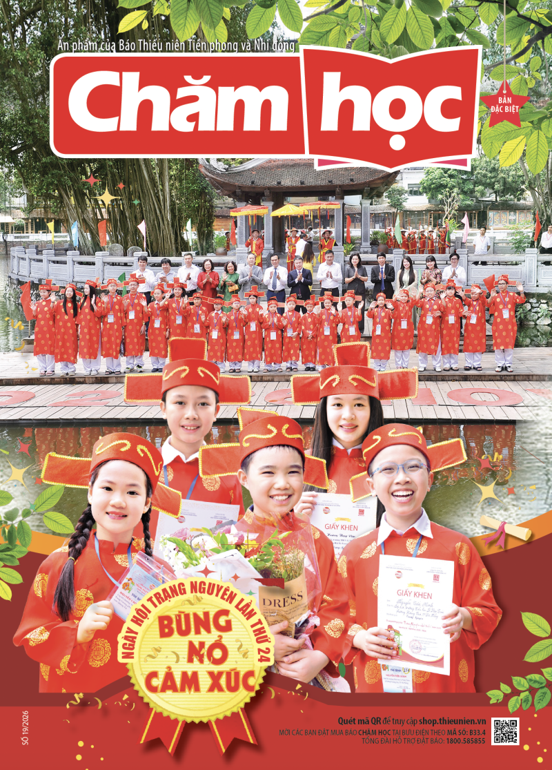 2026 - SỐ 19