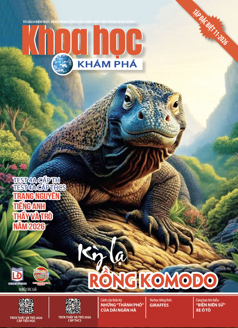2026 - SỐ 11