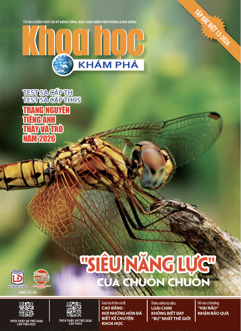 2026 - SỐ 13